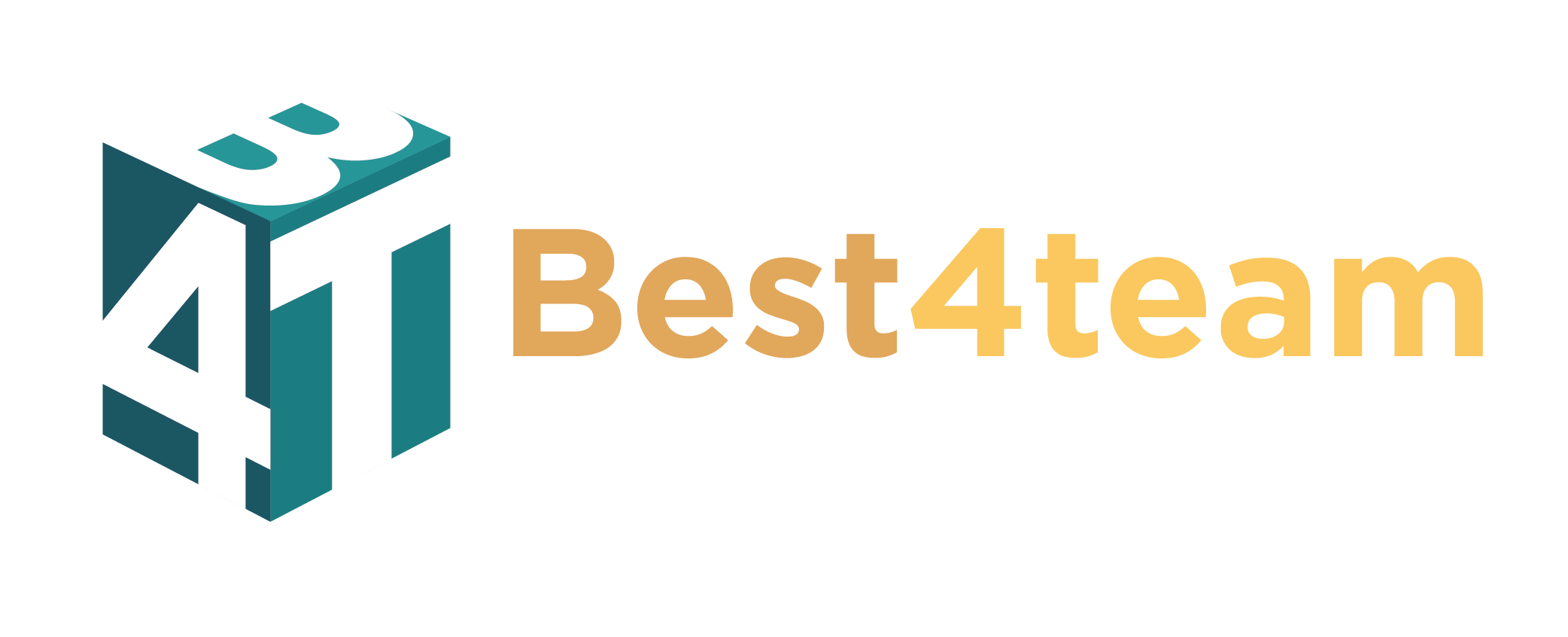 Logo best4team