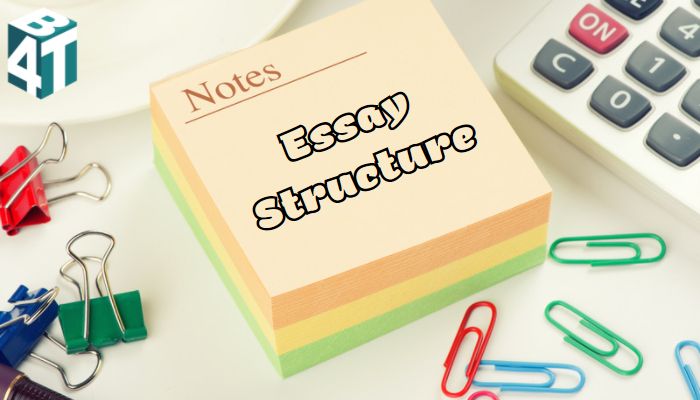 Cấu trúc bài essay - essay structure
