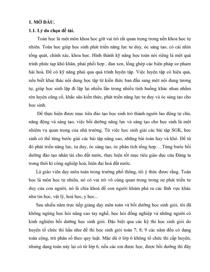 SKKN Rèn luyện kỹ năng khai thác bài toán thông qua Chuyên đề cộng, trừ phân số theo quy luật Toán 6